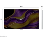 LG 樂金 OLED55G5PCA 55吋 OLED evo AI G5 4K 智能電視